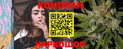 прущие грибы Севастополь