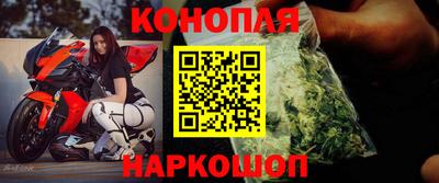 прущие грибы Севастополь