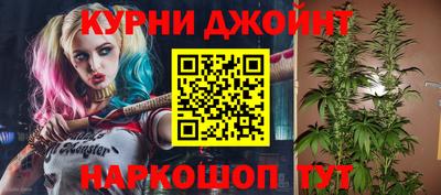 прущие грибы Севастополь