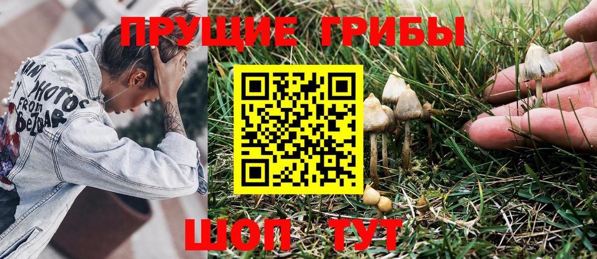 Серпухов  что такое наркотик  Вход с VPN  Псилоцибиновые грибы мухоморы  Псилоцибиновые грибы Magic Shrooms 
