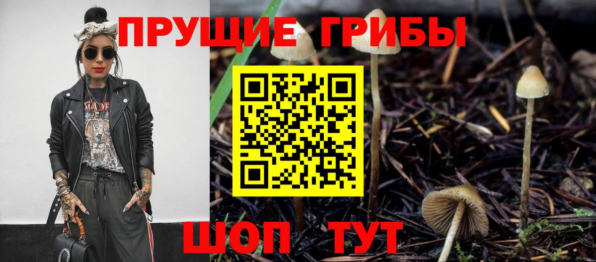 Псилоцибиновые грибы GOLDEN TEACHER Серпухов